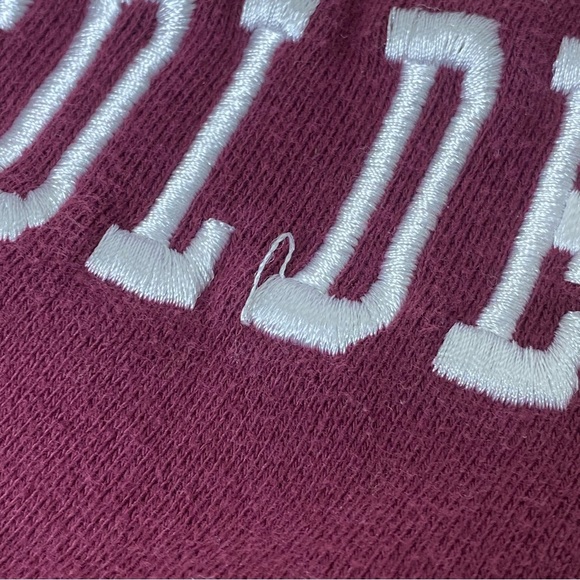 Minnesota Golden Gophers Hoodie  Sweatshirt Adult Size Medium Ski U Mah - Picture 3 of 7